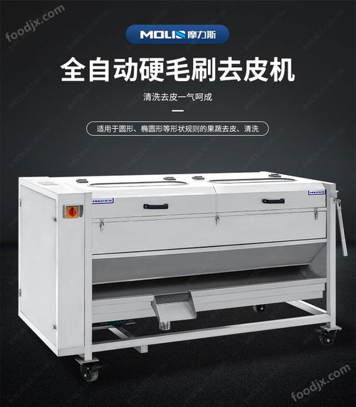 生姜果蔬清洗加工毛輥清洗去皮機(jī) 去皮設(shè)備