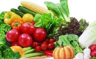 山西科普惠農特色優質農產品展銷會盛大開幕，花卉產業綻放異彩